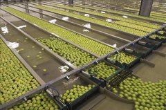 <b>[Case Study] Sludge Dewatering in Fruit Processing Industry</b>