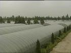 A wastewater treatment station of Taixing agricultural park