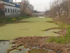Shandong Binzhou Sewage Treatment Plant
